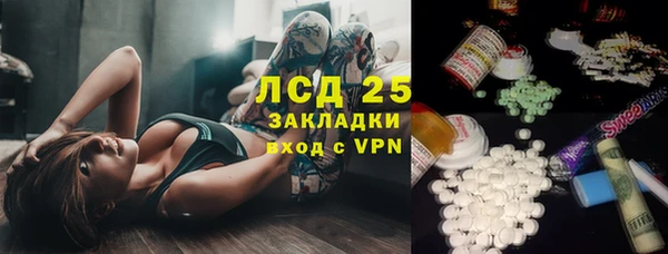 ECSTASY Алзамай