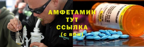 ECSTASY Алзамай