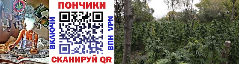 закладка  площадка как зайти  кракен онион  Каннабис THC 21%  Обоянь 